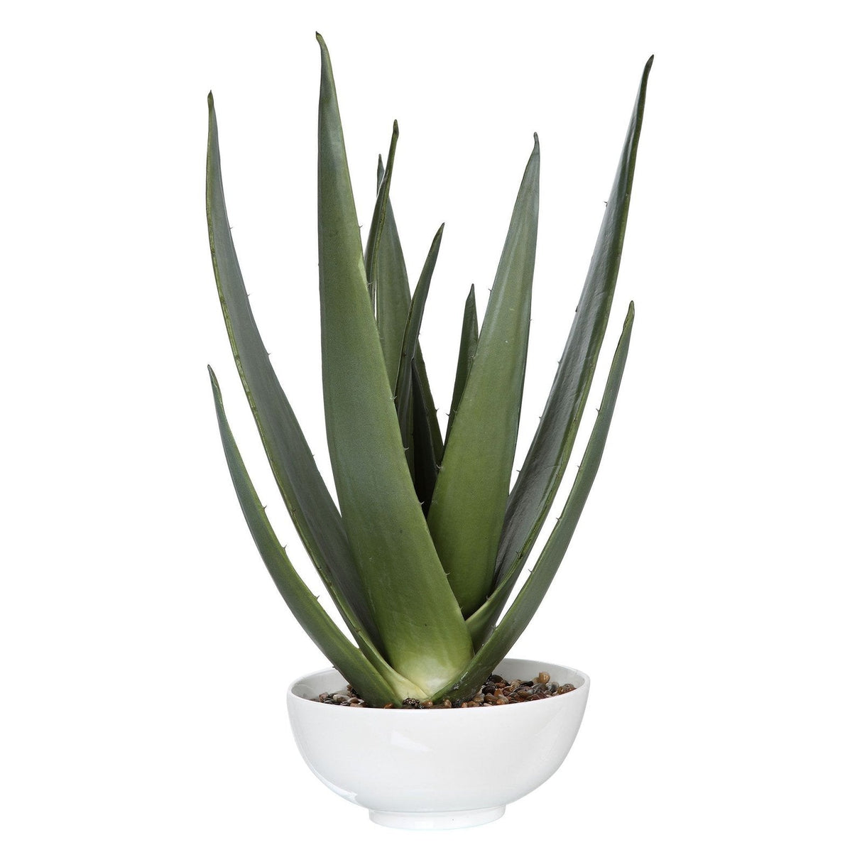 Uttermost Evarado Aloe Planter - Home Elegance USA