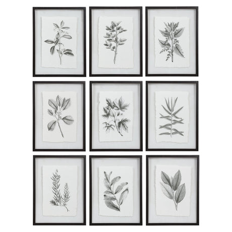 Uttermost Farmhouse Florals Framed Prints - Set Of 9 - Home Elegance USA