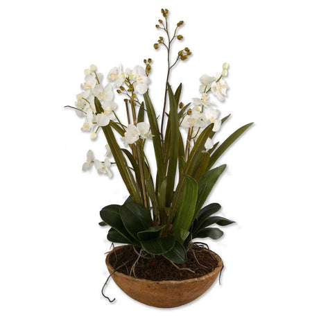 Uttermost Moth Orchid Planter - Home Elegance USA