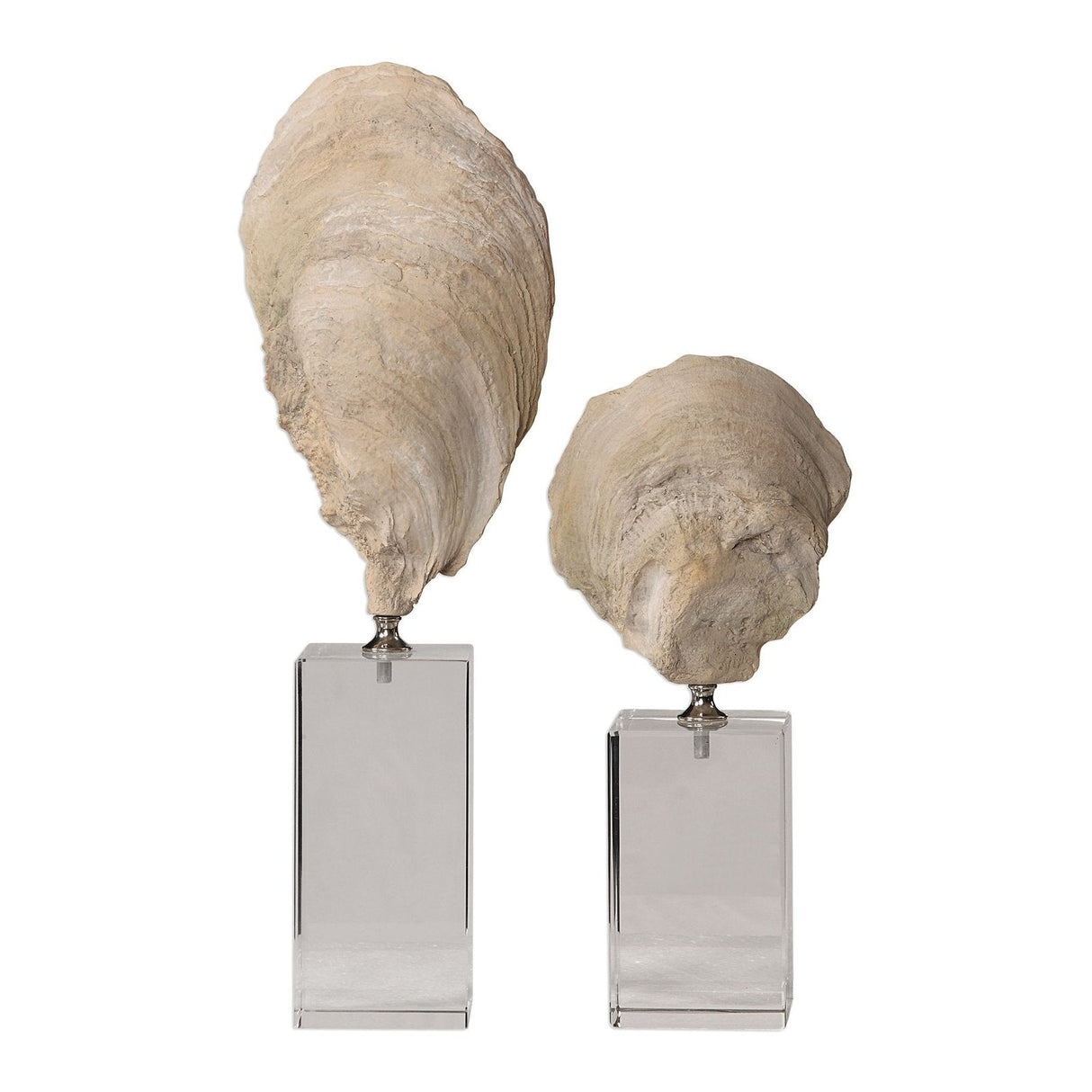 Uttermost Oyster Shell Sculptures - Set Of 2 - Home Elegance USA