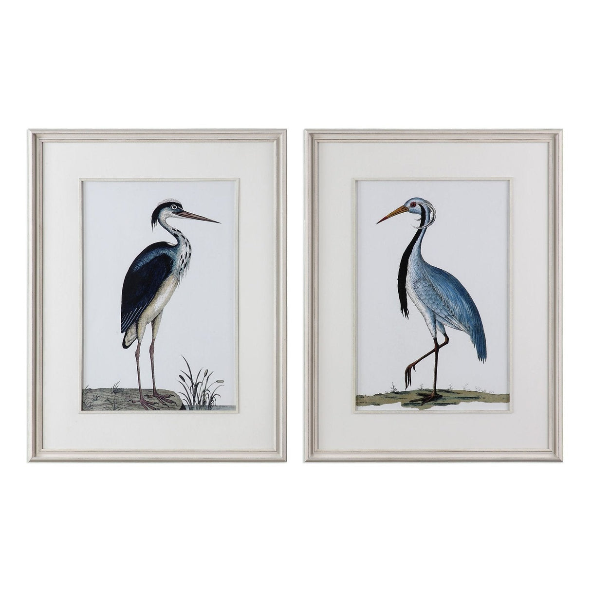 Uttermost Shore Birds Framed Prints - Set Of 2 - Home Elegance USA