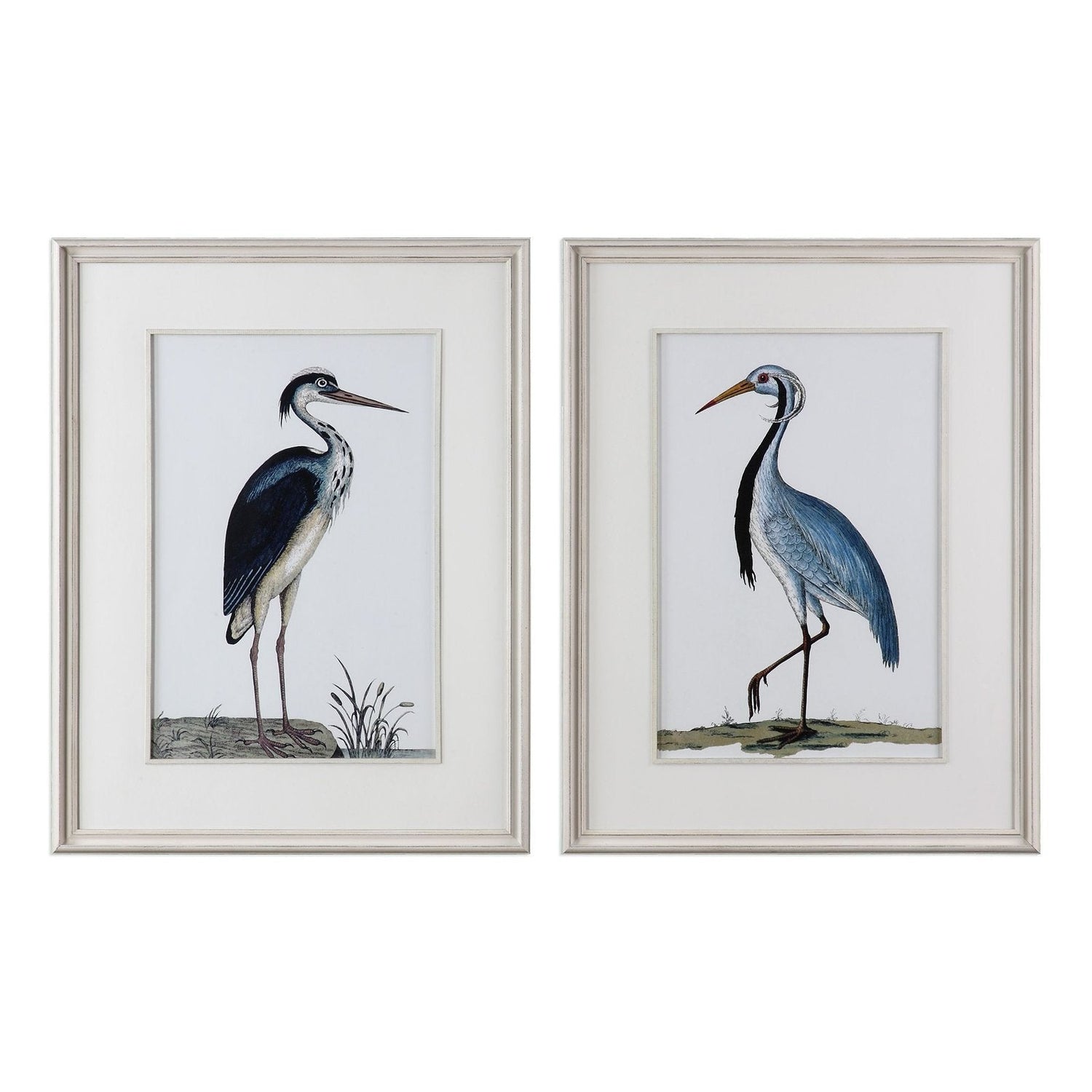 Uttermost Shore Birds Framed Prints - Set Of 2 - Home Elegance USA