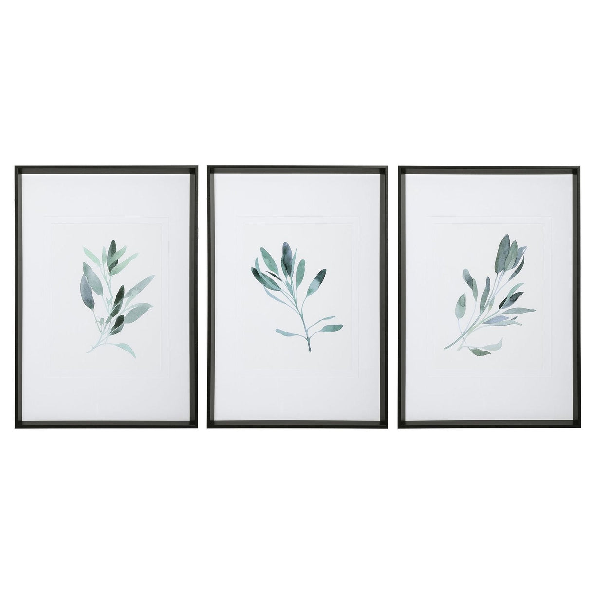Uttermost Simple Sage Watercolor Prints - Set Of 3 - Home Elegance USA