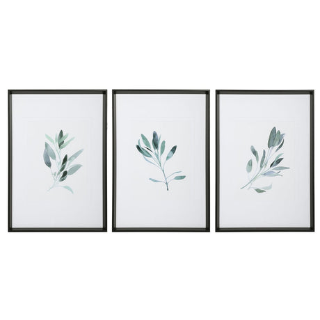 Uttermost Simple Sage Watercolor Prints - Set Of 3 - Home Elegance USA