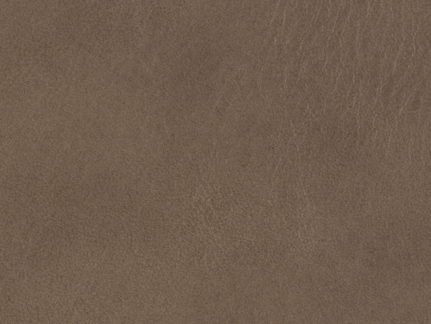 Hooker Furniture Caleigh Recliner