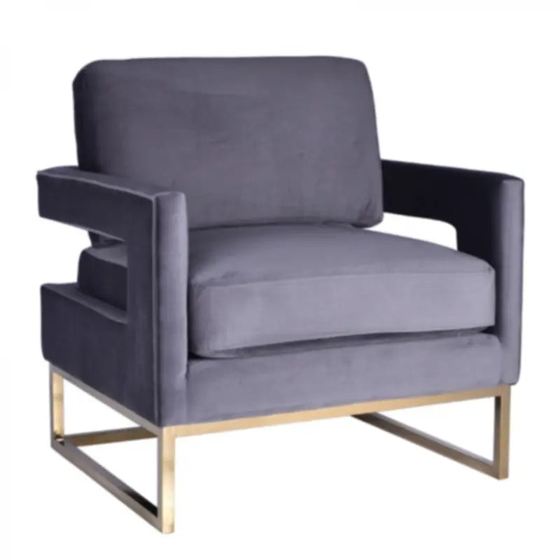 Vig Furniture - Modrest Edna Modern Grey Velvet & Gold Accent Chair - Vgrh-Rhs-Ac-201-Gry