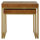 Burl-esque Wooden Nesting Tables (Set of 2) - Light Brown by Uttermost - View 6