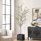 Abundance Potted Olive Tree - Black / Green by Uttermost - View 2