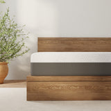 23474520