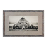 Deep Sleep Bear Print - Silver by Uttermost - View 1