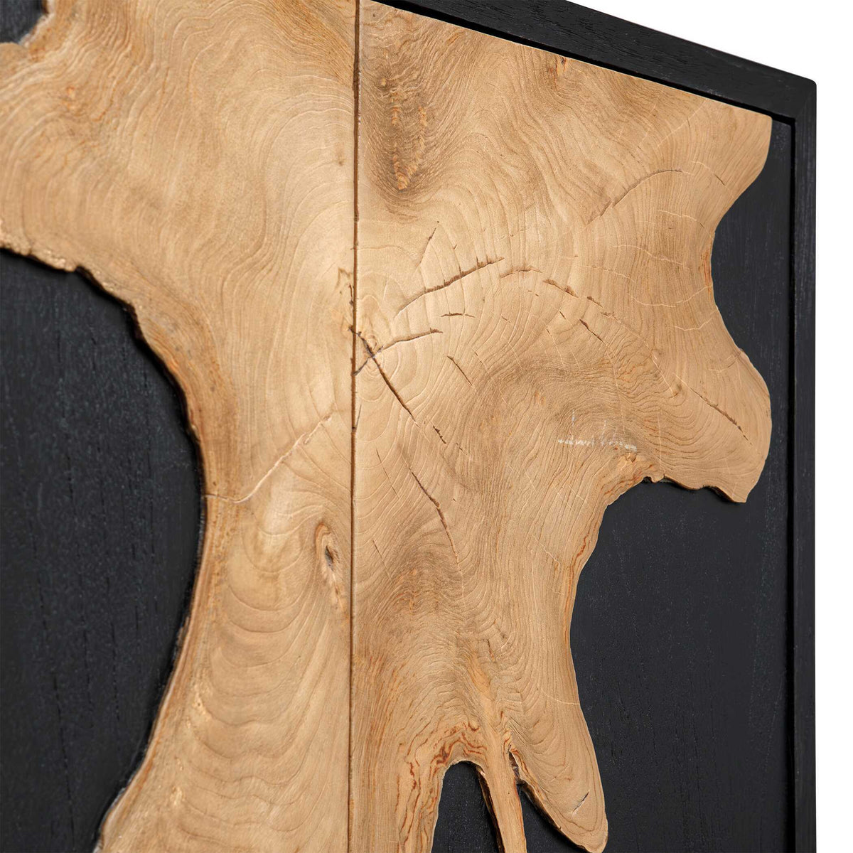 Andrei Teak Root 2 Door Cabinet Black / Woodtone - Black / Light Brown by Uttermost - View 8