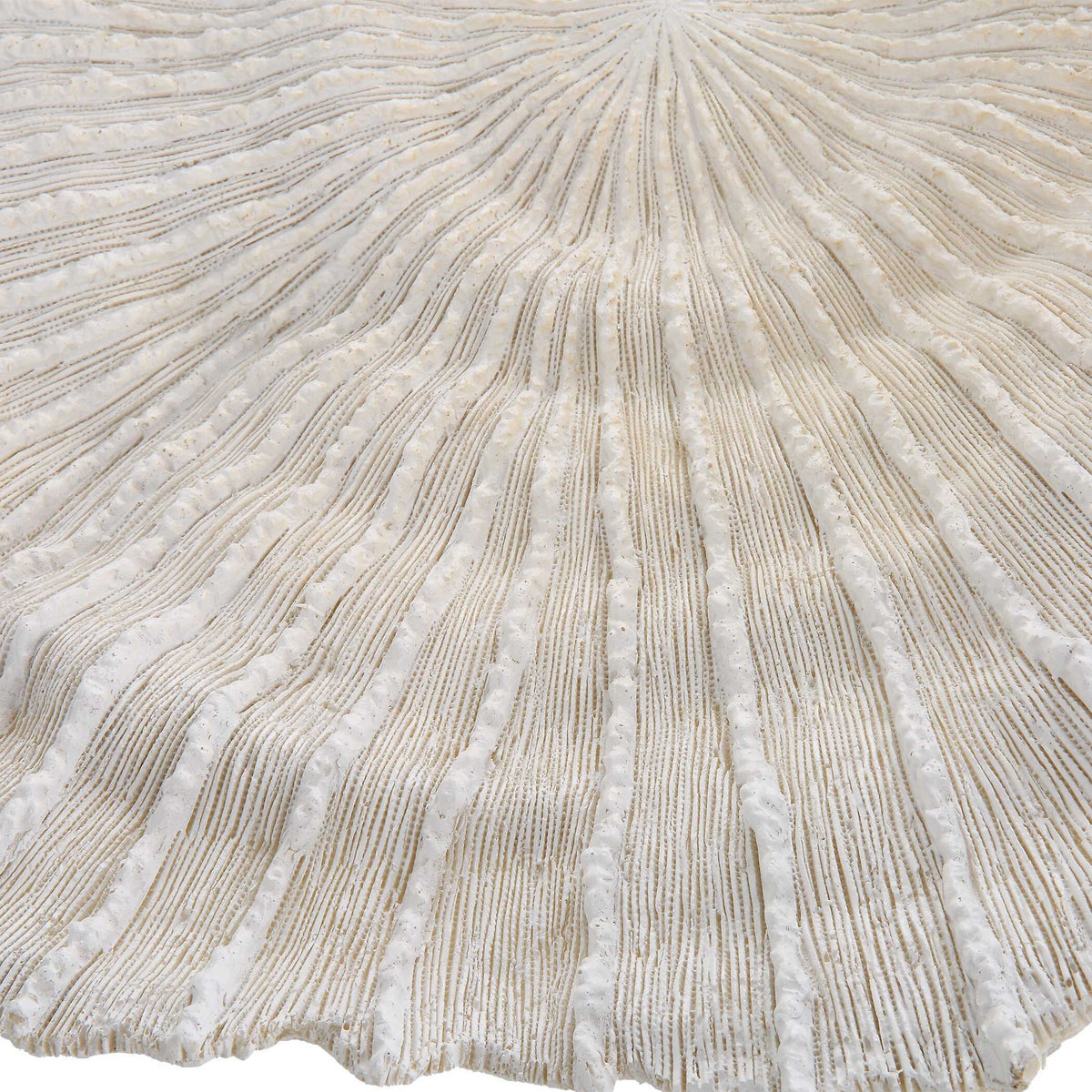 Ocean Gems Wall Decor (Set of 3) Ivory - Beige by Uttermost - View 5