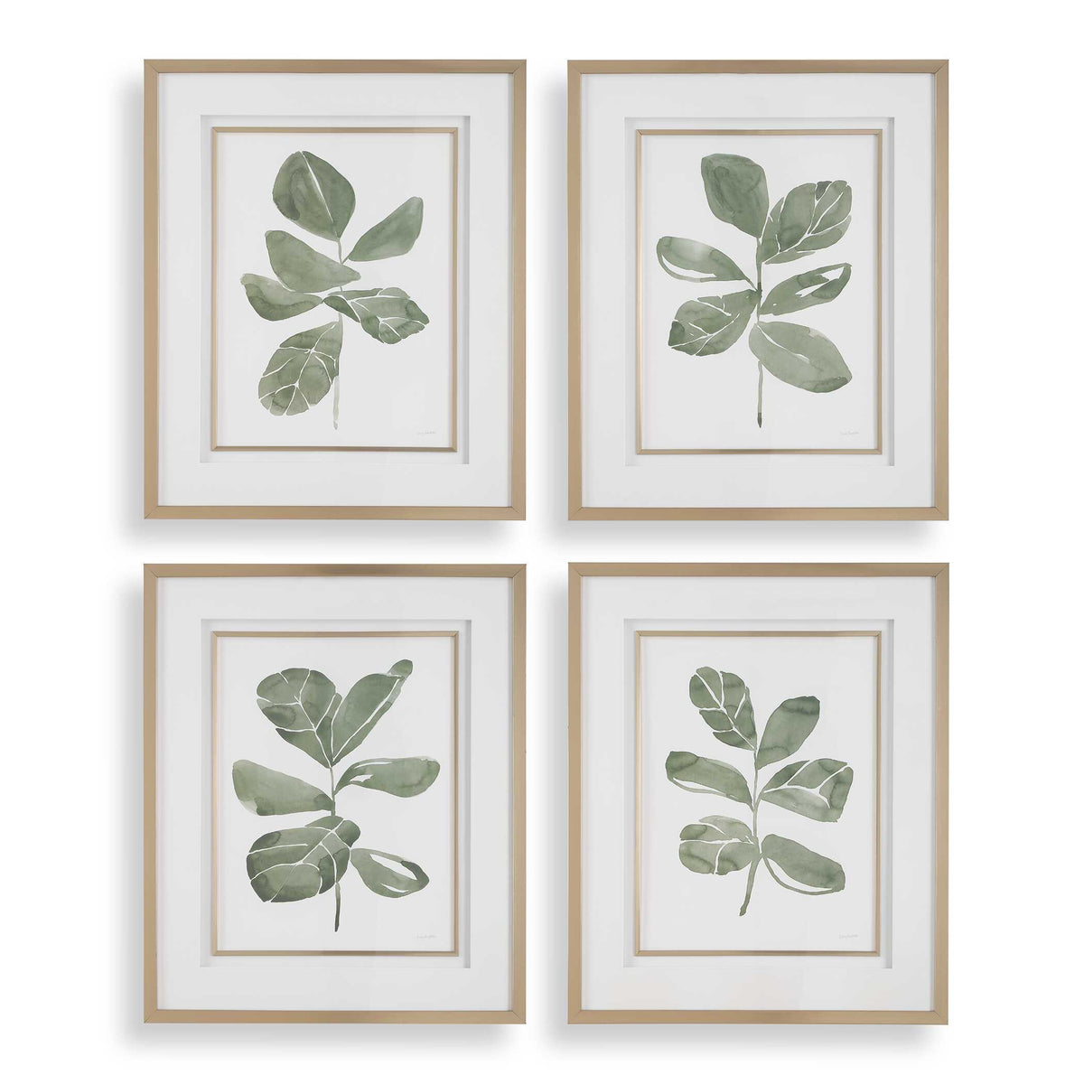 Fiddle Head Leaf Botanical Prints (Set of 4) - Green / White by Uttermost - View 1