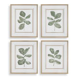 Fiddle Head Leaf Botanical Prints (Set of 4) - Green / White by Uttermost - View 1