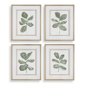 Fiddle Head Leaf Botanical Prints (Set of 4) - Green / White by Uttermost - View 1