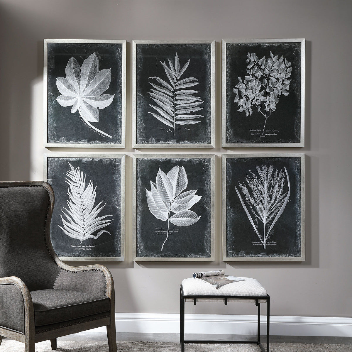 Foliage Framed Prints (Set of 6) - Black / Silver by Uttermost - View 2