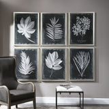 Foliage Framed Prints (Set of 6) - Black / Silver by Uttermost - View 2