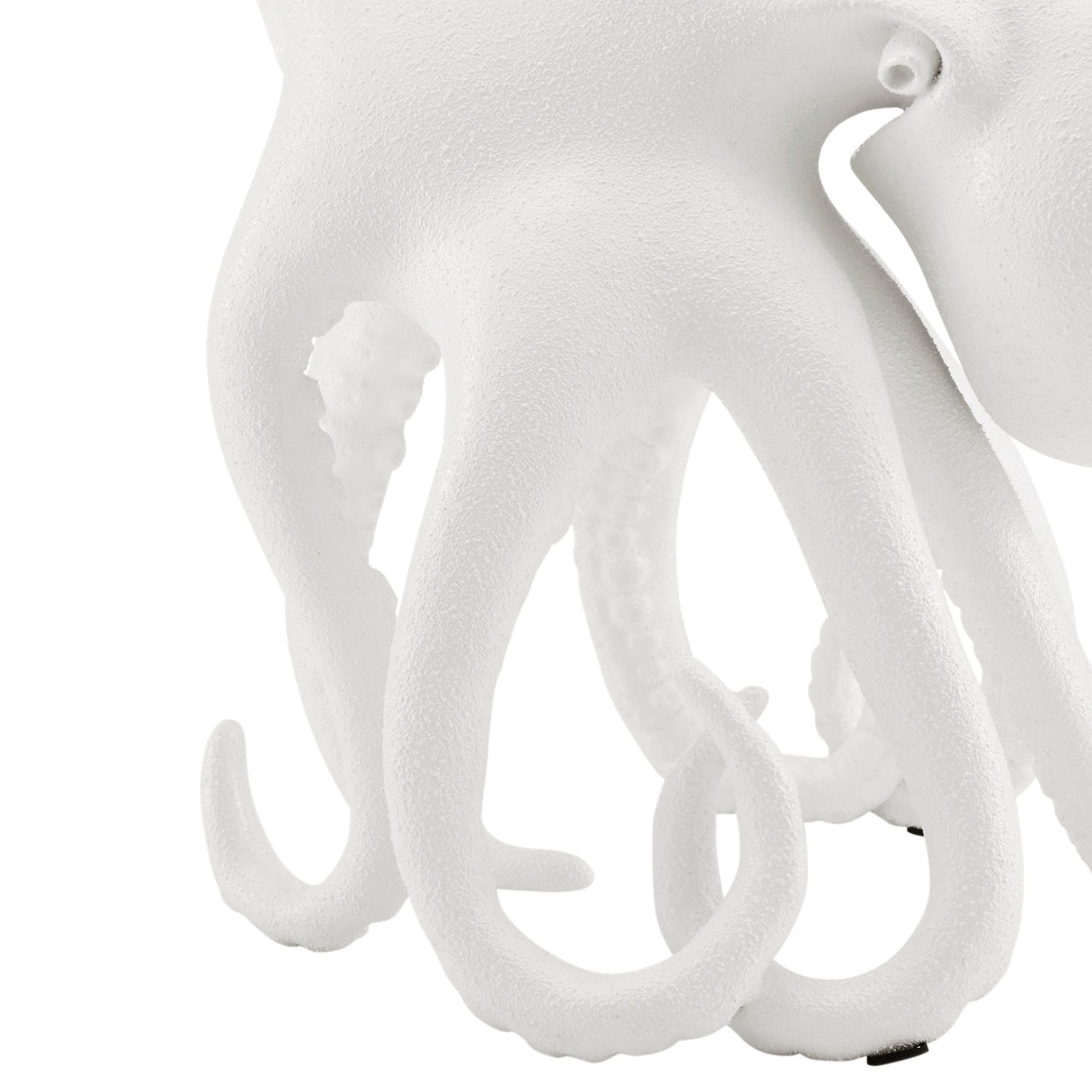 Sugvar the Octopus // Frosted White  | Finesse