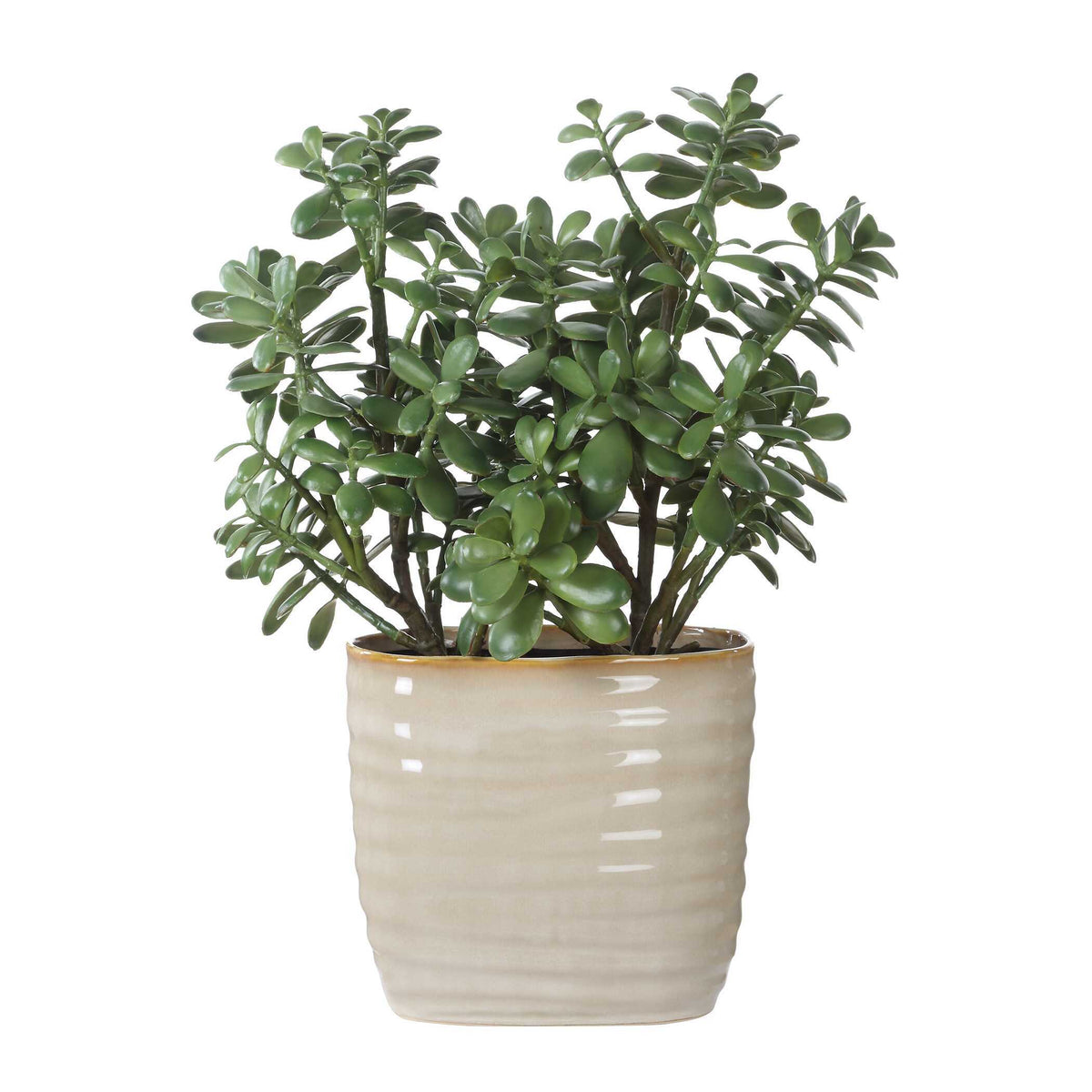 Crassula Jade Accent Plant - Beige by Uttermost - View 5