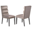 Carla Velvet Upholstered Dining Side Chair Ash (Set of 2) - Home Elegance USA