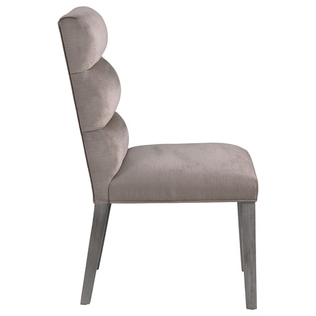 Carla Velvet Upholstered Dining Side Chair Ash (Set of 2) - Home Elegance USA