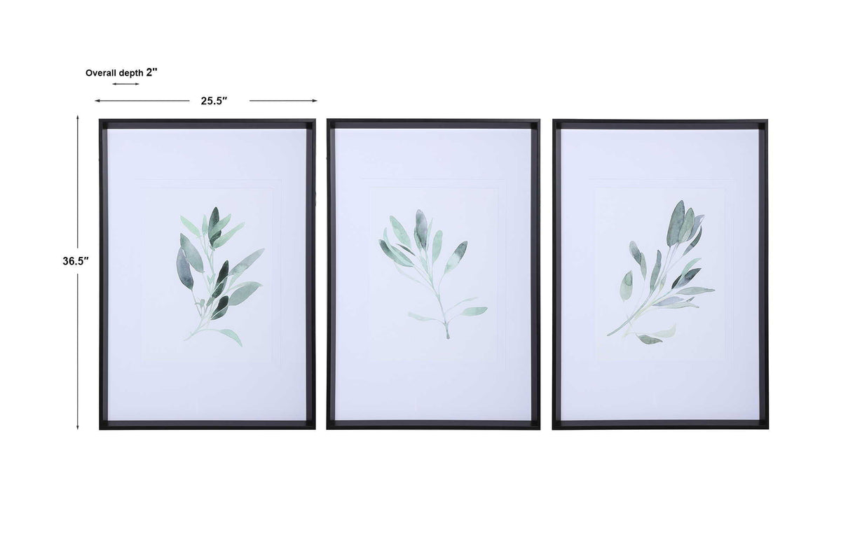 Simple Sage Watercolor Prints (Set of 3) - White / Green by Uttermost - View 7