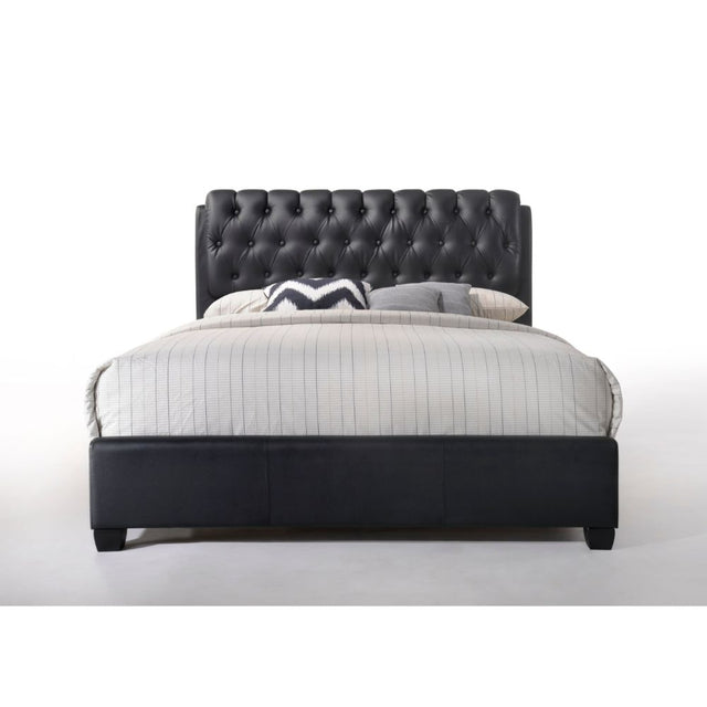 Acme - Ireland II EK Bed 14347EK Black Synthetic Leather