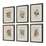 Orchid Botanical Framed Prints (Set of 6) - Green / Orange by Uttermost - View 3
