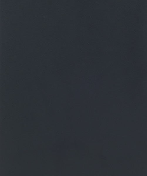 Solid dark gray color swatch