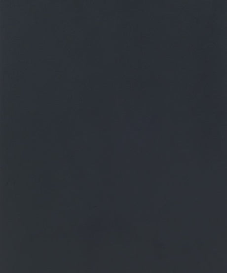 Solid dark gray color swatch