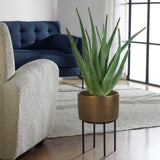 Arabia Aloe Planter - Dark Brown by Uttermost - View 2