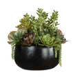 Mico Indoor-Outdoor Succulent Centerpiece - Green by Uttermost - View 1