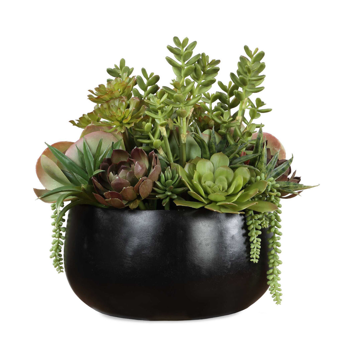 Mico Indoor-Outdoor Succulent Centerpiece - Green by Uttermost - View 1