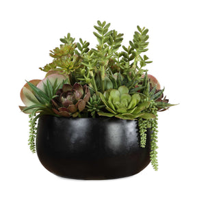 Mico Indoor-Outdoor Succulent Centerpiece - Green by Uttermost - View 1