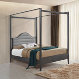 23569020