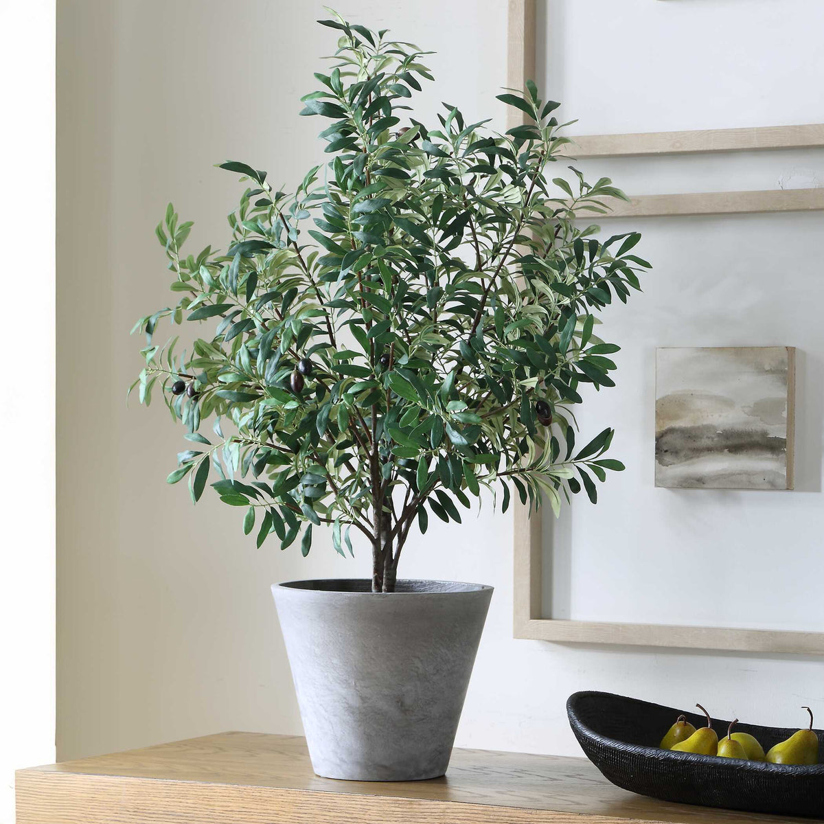 Marisol Potted Olive Plant - Gray / Green by Uttermost - View 3