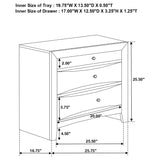 Briana 2-drawer Nightstand Black - Home Elegance USA