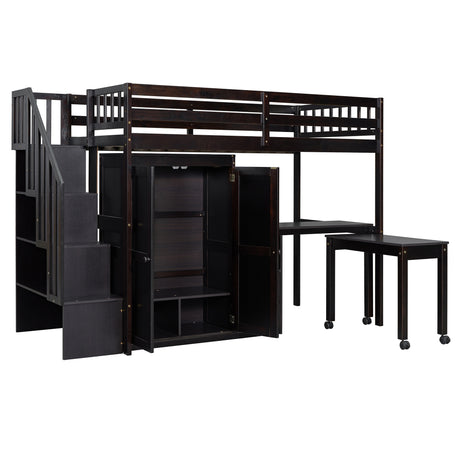 23443204