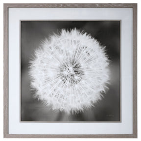 Dandelion Seedhead Framed Print - Black / White by Uttermost - View 1