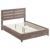 Brantford Wood Eastern King Panel Bed Barrel Oak | Coaster | Home Elegance USA