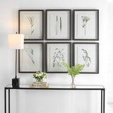 Forest Finds Finds Framed Prints (Set of 6) - White / Green by Uttermost - View 5