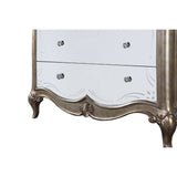 Acme - Esteban Chest 22206 Antique Champagne Finish