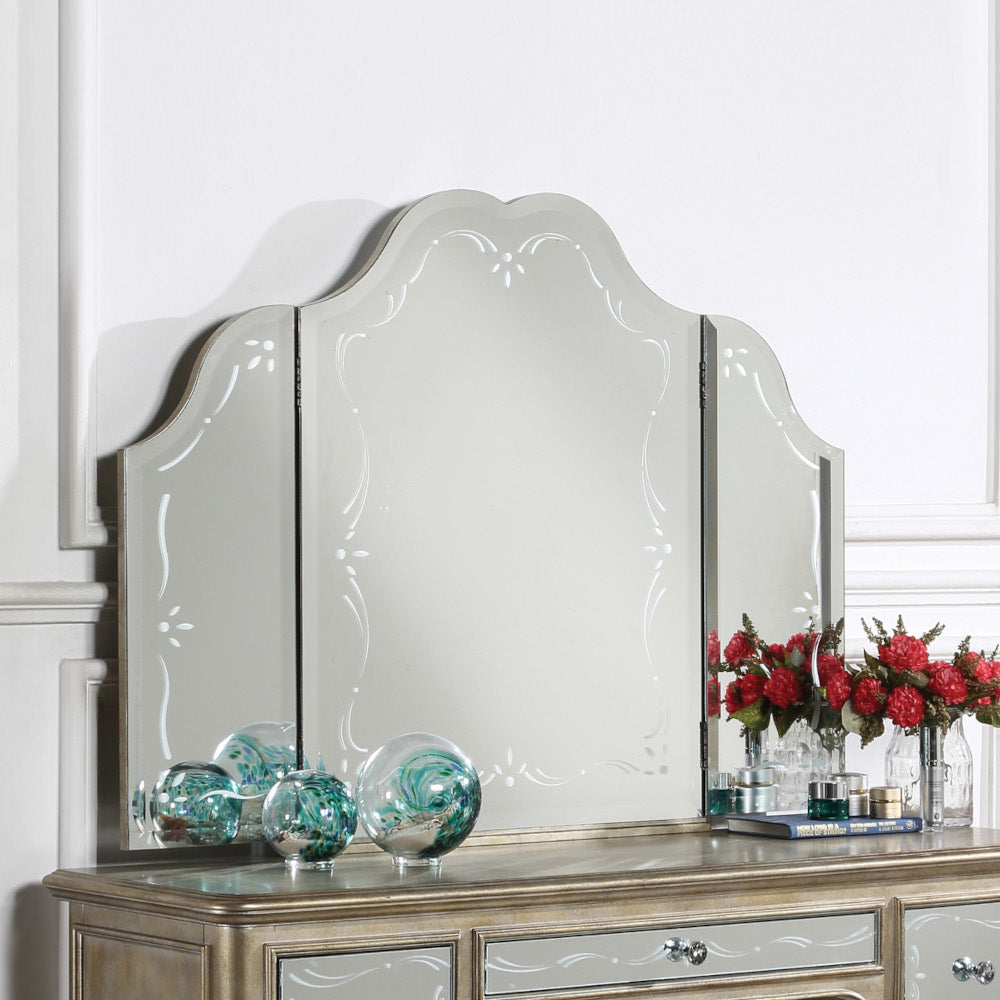 Acme - Esteban Vanity Mirror 22210 Mirrored