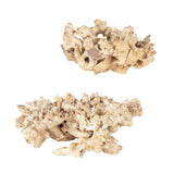 Elemental Root Outdoor Sculptures (Set of 2) - White by Uttermost - View 3