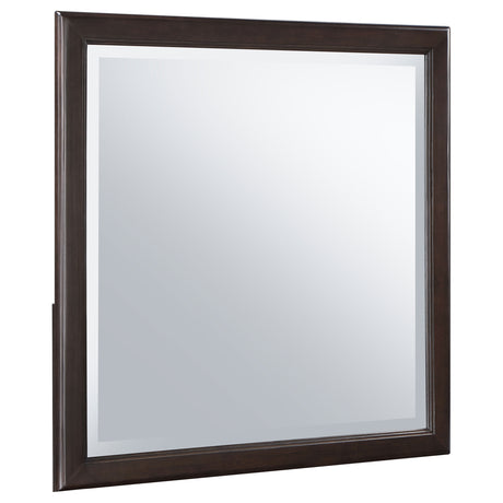 Dresser Mirror - Emberlyn Dresser Mirror Brown