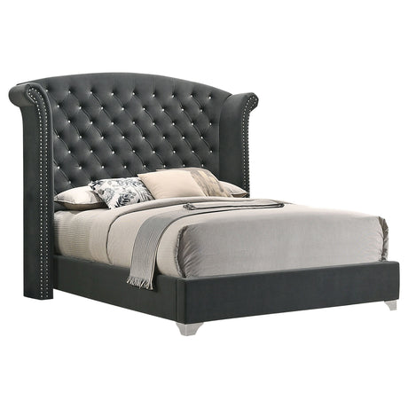 Eastern King Bed - Melody Upholstered Eastern King Wingback Bed Grey