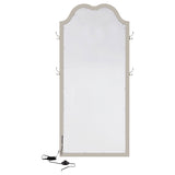 Floor Mirror - Evangeline Full Length LED Floor Mirror Silver Oak