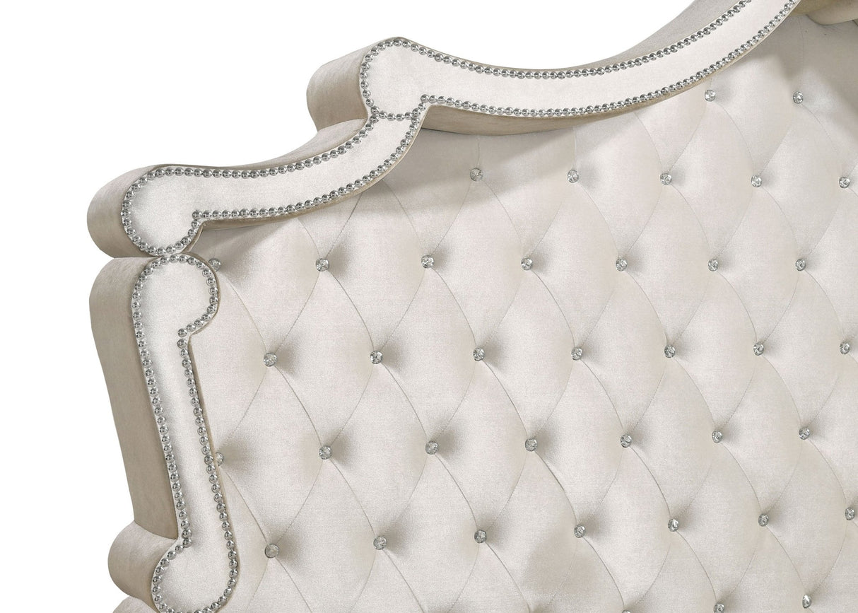 Antonella Upholstered Eastern King Panel Bed Ivory and Camel | Coaster | Home Elegance USA