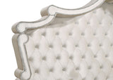 Antonella Upholstered California King Panel Bed Ivory | Coaster - 223521KW - Home Elegance USA - 3