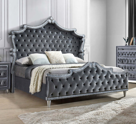 Antonella Upholstered Eastern King Panel Bed Grey | Coaster - 223581KE - Home Elegance USA - 2